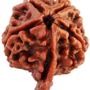 Ganesha-Rudraksha